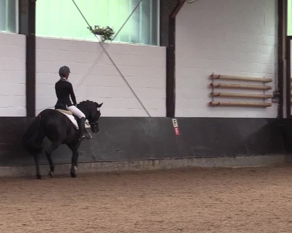 Reitturnier Kierspe-Hohenholten 2017