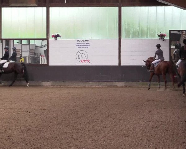 Reitturnier Kierspe-Hohenholten 2017