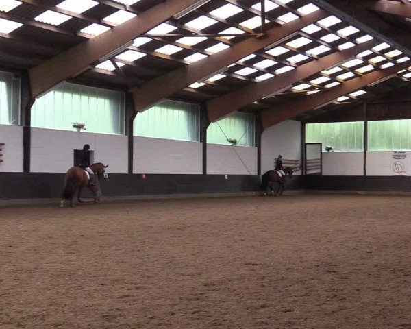 Reitturnier Kierspe-Hohenholten 2017