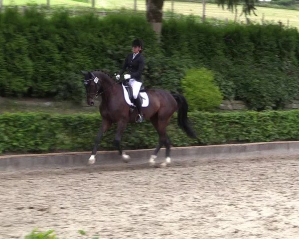 Reitturnier Kierspe-Hohenholten 2017