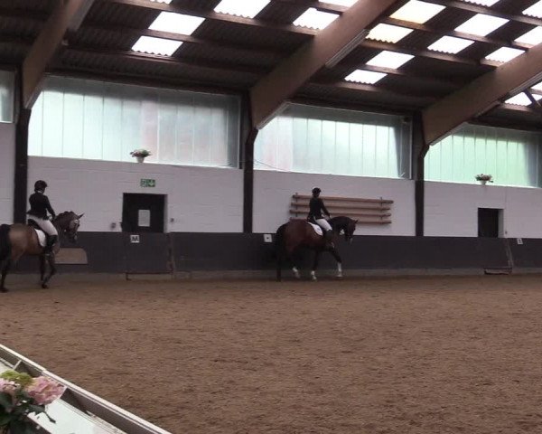 Reitturnier Kierspe-Hohenholten 2017