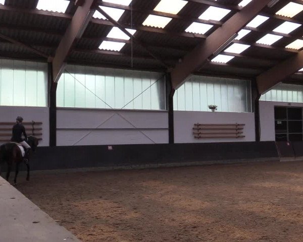 Reitturnier Kierspe-Hohenholten 2017