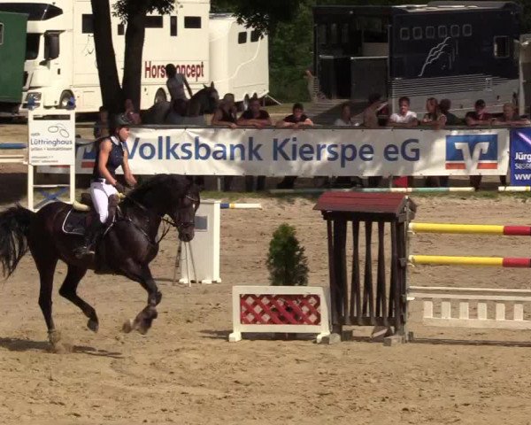Reitturnier Kierspe-Hohenholten 2017