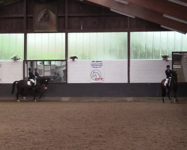 Reitturnier Kierspe-Hohenholten 2017