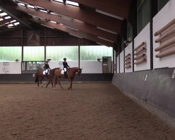 Reitturnier Kierspe-Hohenholten 2017
