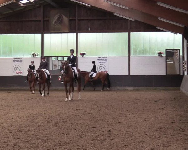 Reitturnier Kierspe-Hohenholten 2017