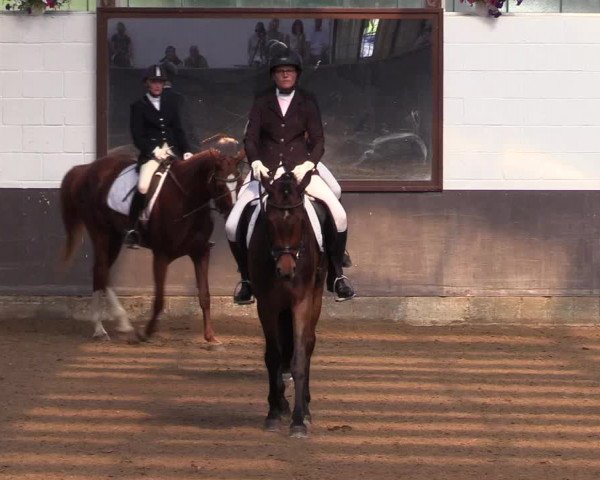 Reitturnier Kierspe-Hohenholten 2017
