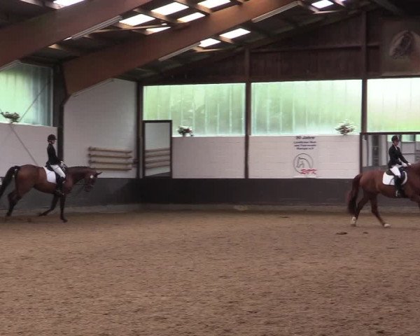 Reitturnier Kierspe-Hohenholten 2017