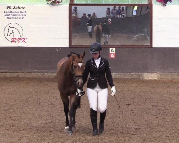 Reitturnier Kierspe-Hohenholten 2017