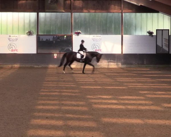 Reitturnier Kierspe-Hohenholten 2017
