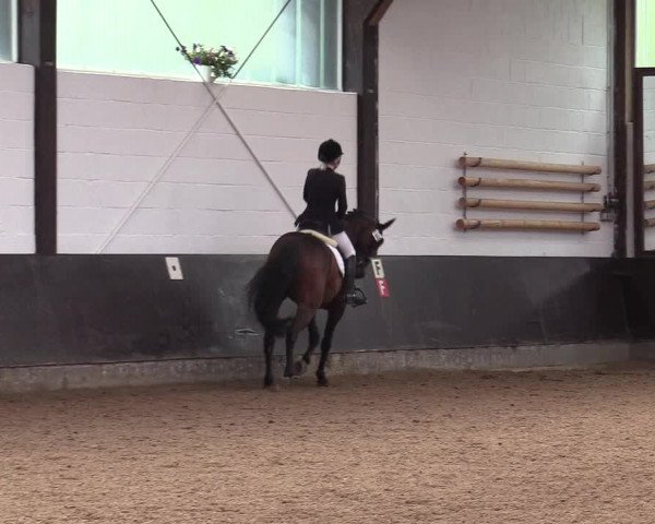 Reitturnier Kierspe-Hohenholten 2017