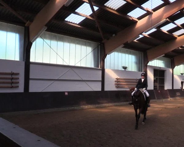 Reitturnier Kierspe-Hohenholten 2017