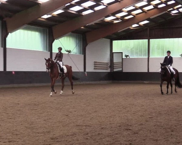 Reitturnier Kierspe-Hohenholten 2017
