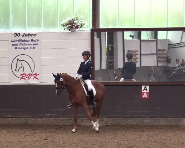 Reitturnier Kierspe-Hohenholten 2017