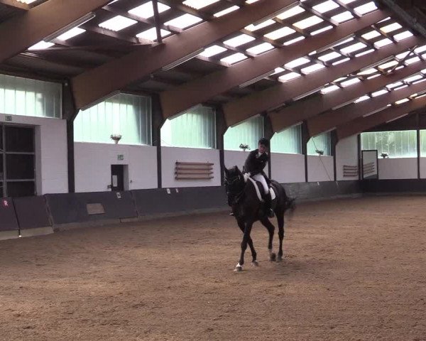 Reitturnier Kierspe-Hohenholten 2017
