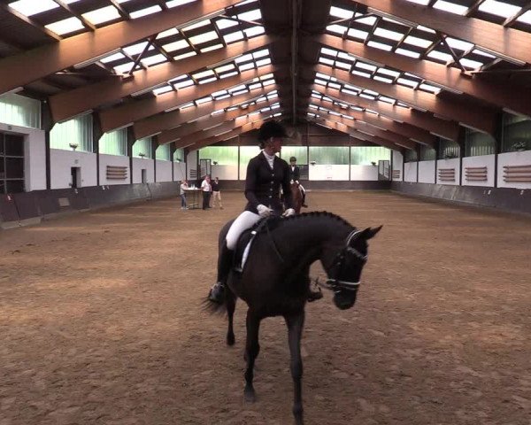 Reitturnier Kierspe-Hohenholten 2017