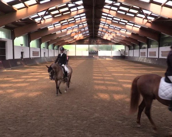 Reitturnier Kierspe-Hohenholten 2017