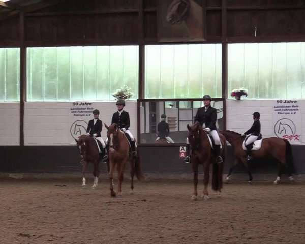 Reitturnier Kierspe-Hohenholten 2017