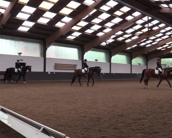 Reitturnier Kierspe-Hohenholten 2017
