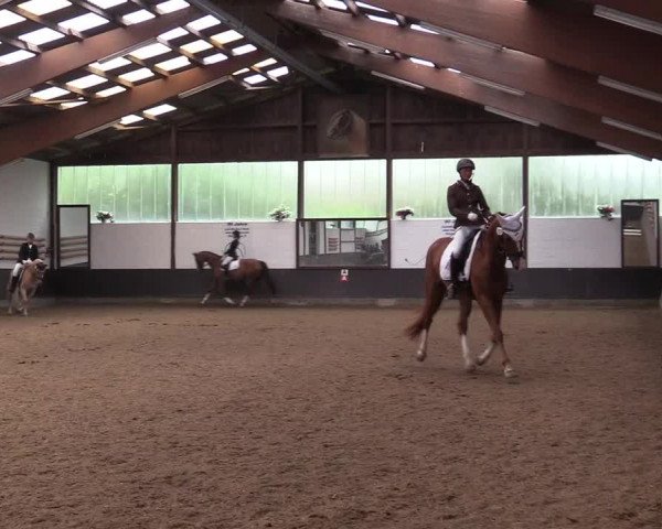 Reitturnier Kierspe-Hohenholten 2017