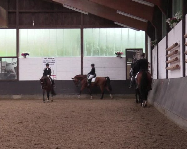 Reitturnier Kierspe-Hohenholten 2017