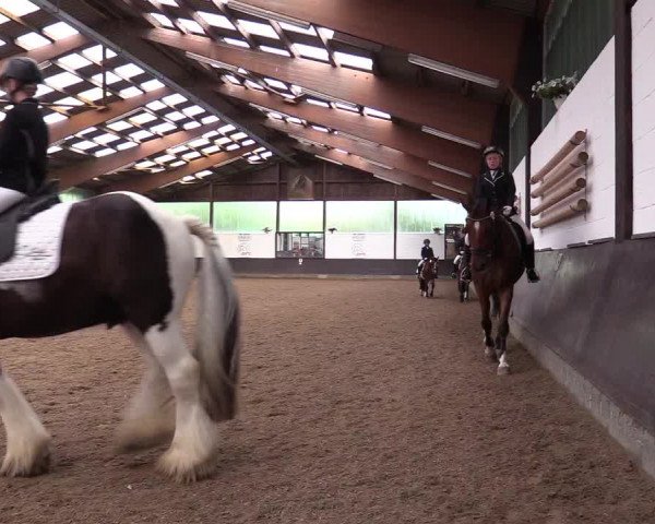 Reitturnier Kierspe-Hohenholten 2017