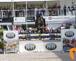 jumper H-red Beauty Girl P und A (Belgium Sporthorse, 2013, from Red Star M)