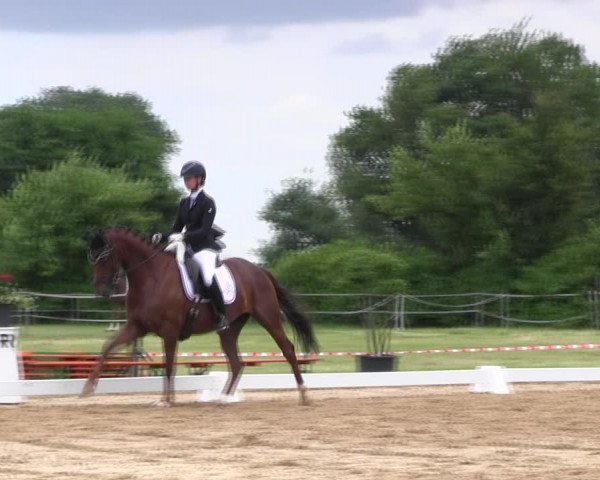 Reitturnier Hille 2017