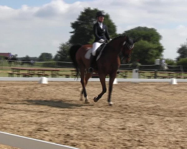 Reitturnier Hille 2017