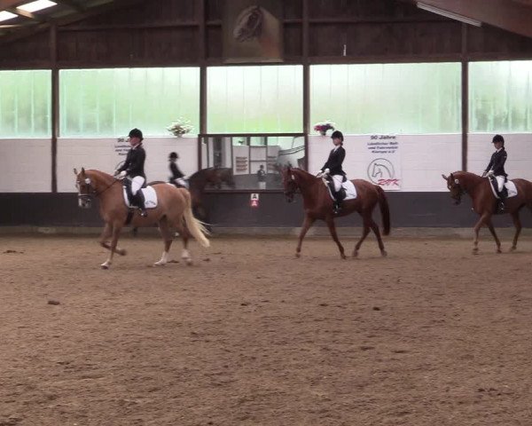 Reitturnier Kierspe-Hohenholten 2017
