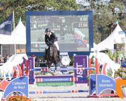 jumper Diana Dea (Belgian Warmblood, 2013, from Diarado)