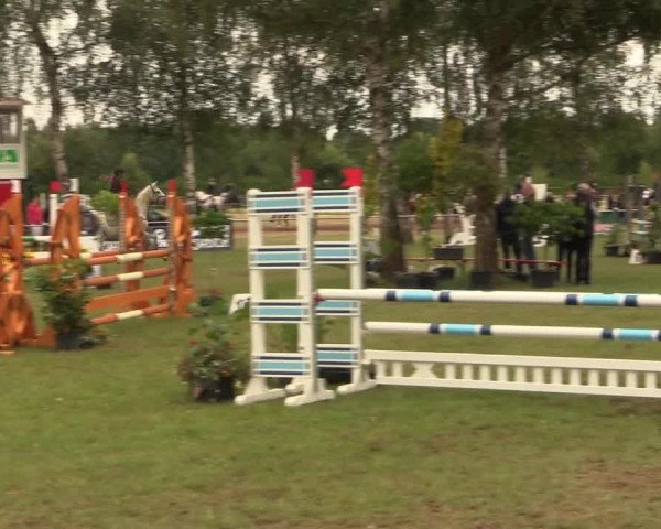 Reitturnier Hille 2017