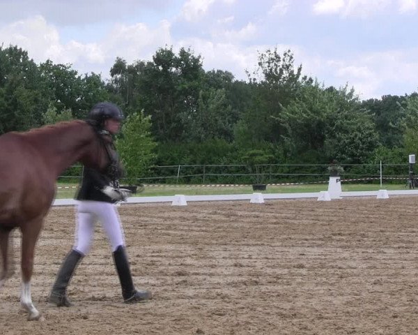 Reitturnier Hille 2017