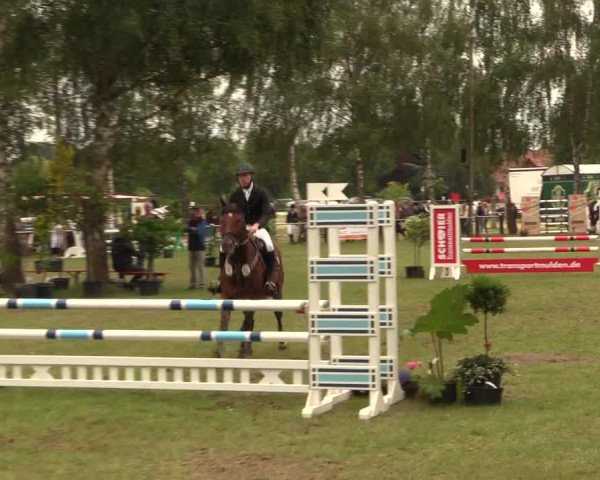 Reitturnier Hille 2017