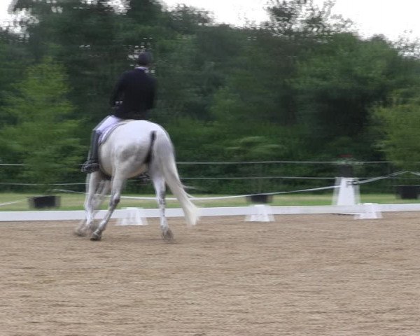 Reitturnier Hille 2017