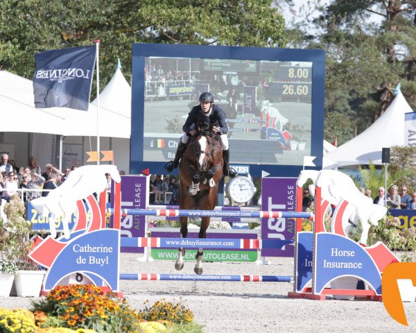 Deckhengst Baloucash (Hannoveraner, 2013, von Balou du Rouet)