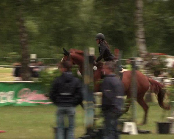 Reitturnier Hille 2017
