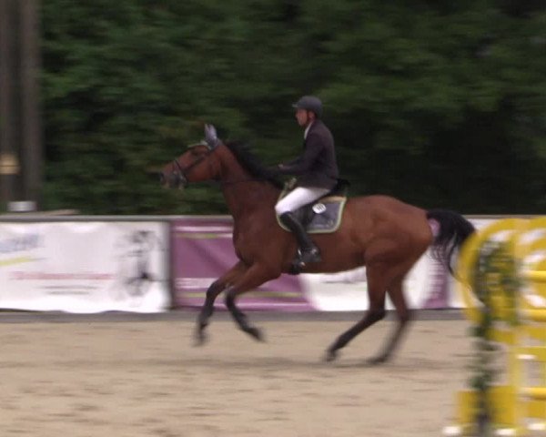 Reitturnier Haiger-Rodenbach, Drei-Länder-Challenge 2017