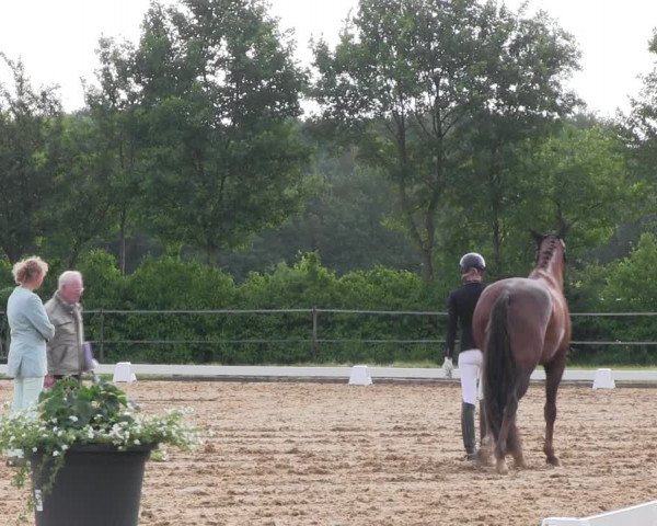 Reitturnier Hille 2017