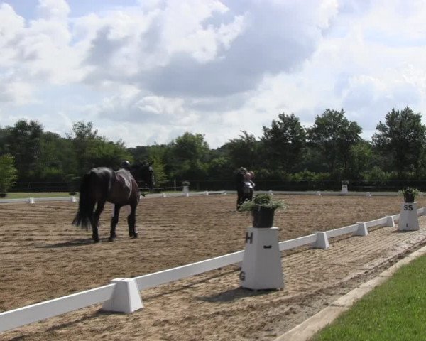 Reitturnier Hille 2017