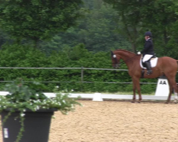 Reitturnier Hille 2017
