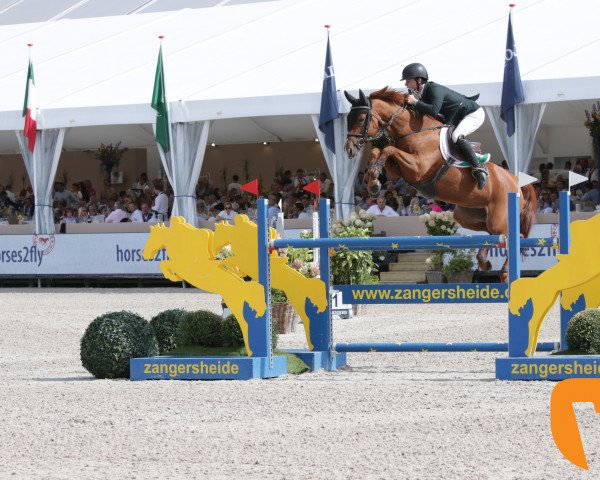 jumper Miss Belgium 111 (Belgian Warmblood, 2012, from Der Senaat 111)