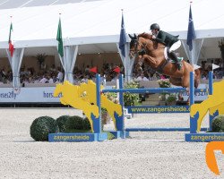 jumper Miss Belgium 111 (Belgian Warmblood, 2012, from Der Senaat 111)