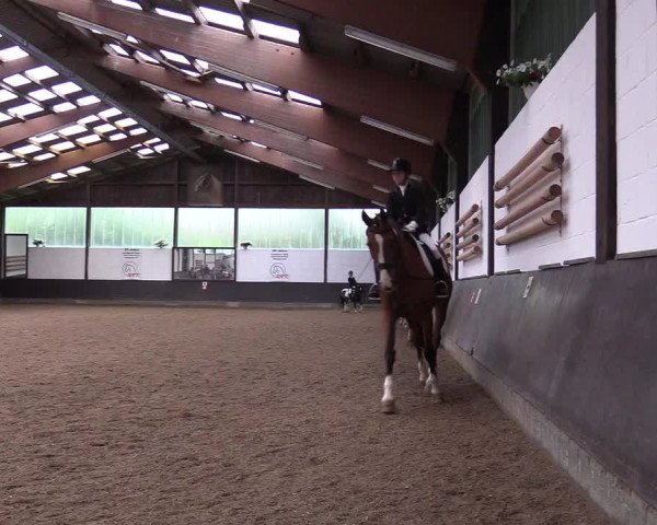 Reitturnier Kierspe-Hohenholten 2017