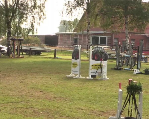 Reitturnier Hille 2017