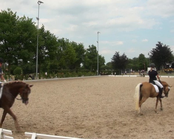 Reitturnier Fröndenberg 2017
