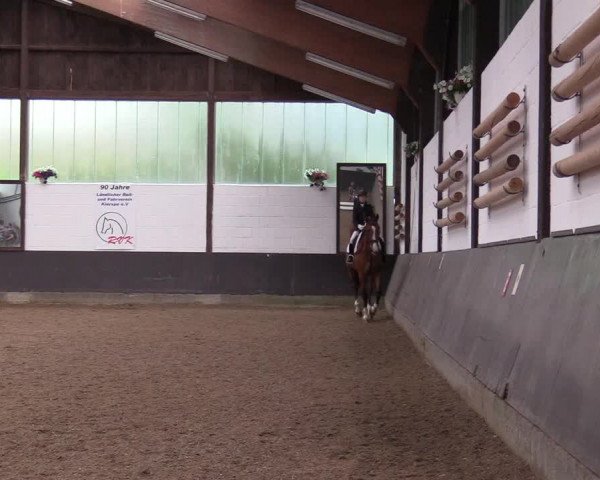 Reitturnier Kierspe-Hohenholten 2017