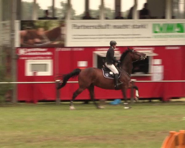Reitturnier Hille 2017