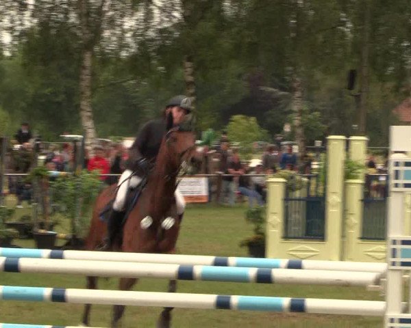 Reitturnier Hille 2017