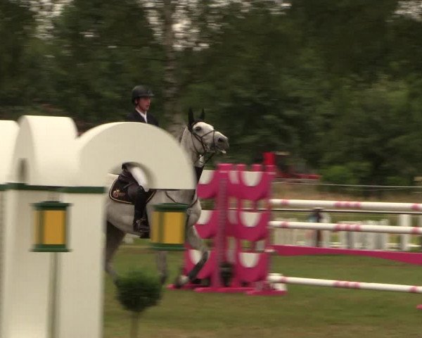 Reitturnier Hille 2017